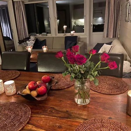 Storehorn 公寓 海姆瑟达尔