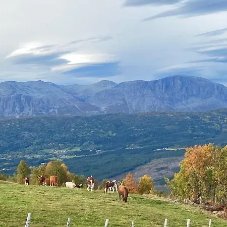 Storehorn Leilighet *