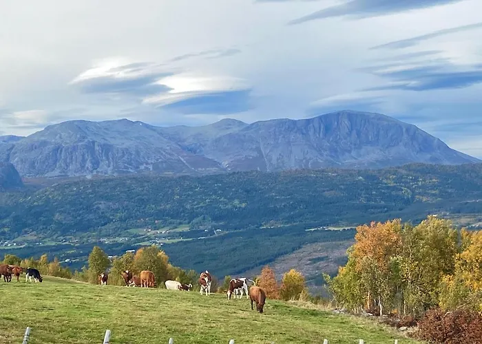 Storehorn Leilighet *